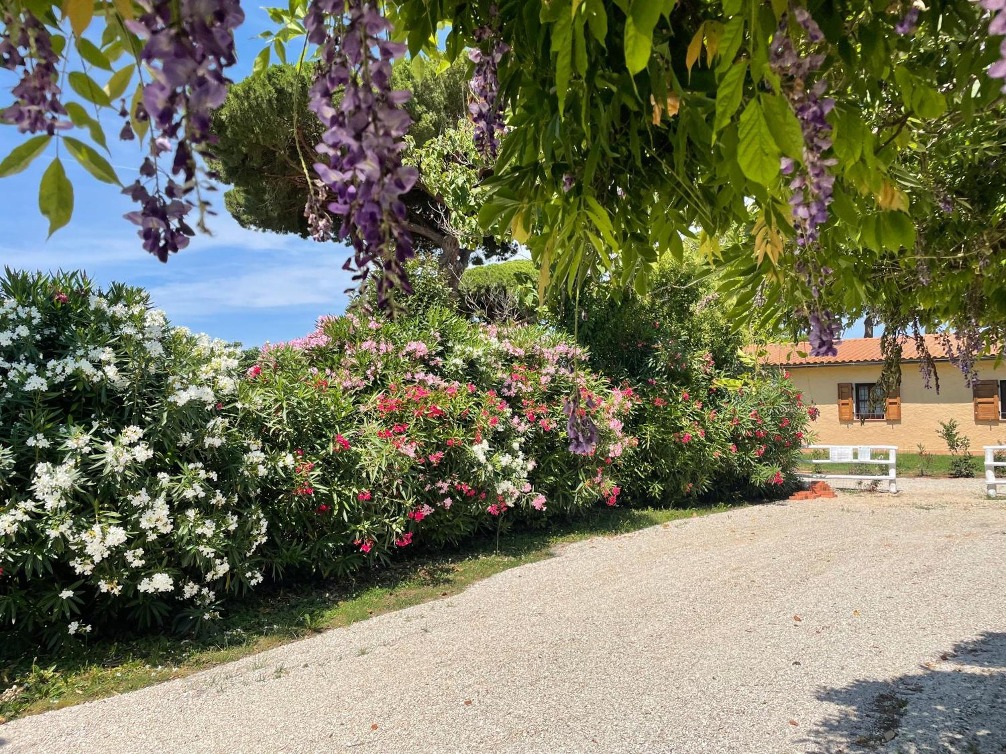 Agriturismo La Valle - By Podere Arundineto Castagneto Carducci Exterior photo